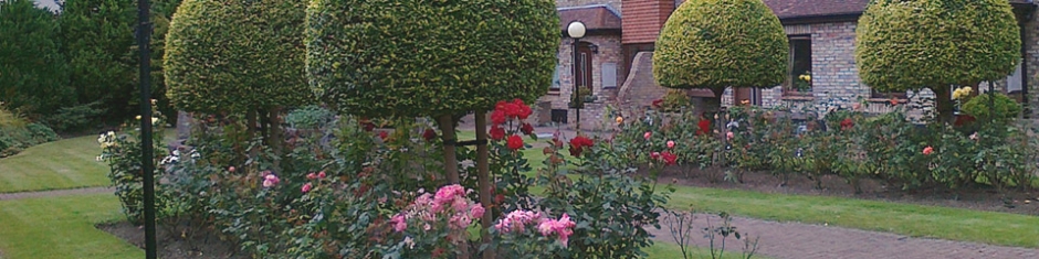 banner 2